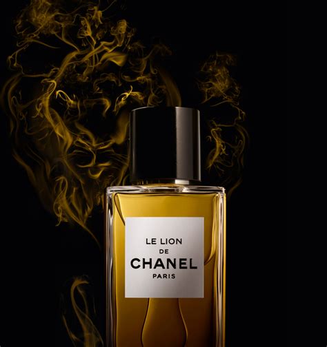 chanel homme|les exclusifs de Chanel.